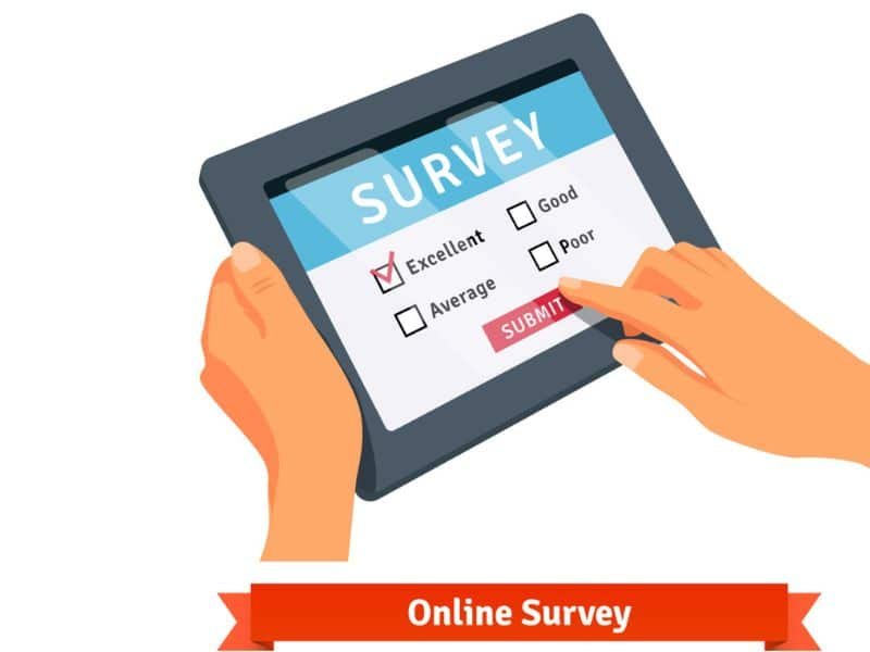 Online Surveys & Paid Tasks