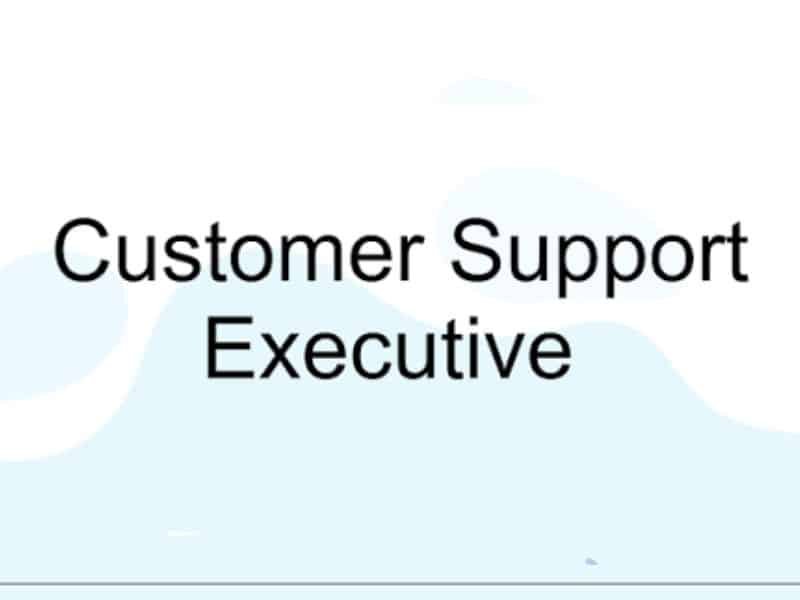 Customer Support Executive