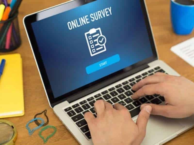 Online Surveys