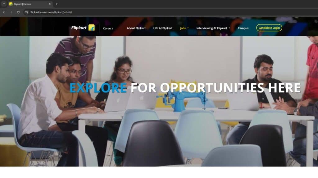 Types of Flipkart Work From Home Jobs