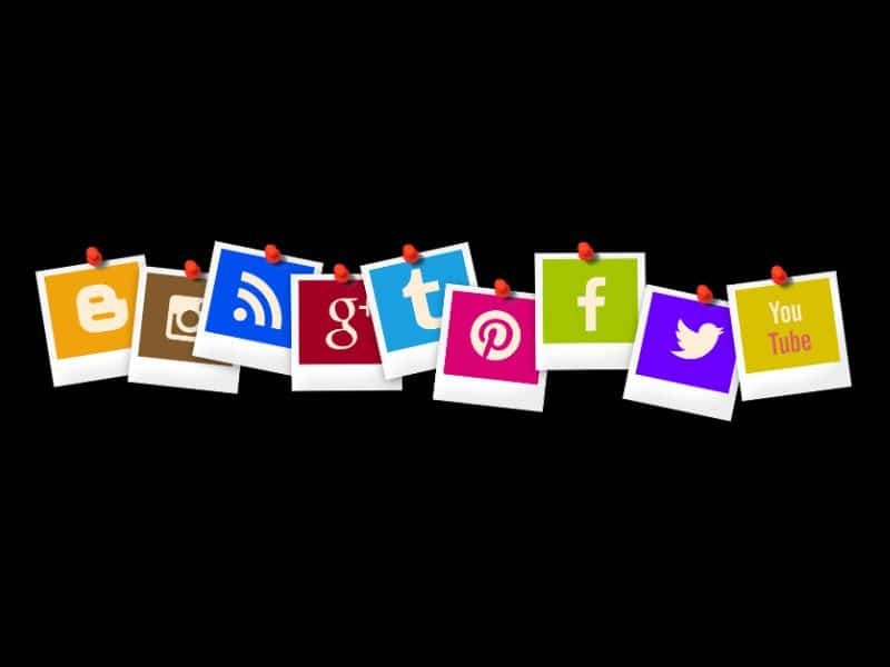 social media management software